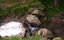 Creek at park