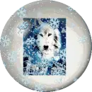 wolf globe