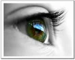 eye