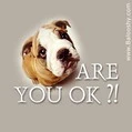 r u OK ?!