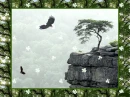 Flying