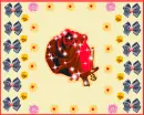 red rose