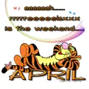tigger relaxes