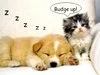 budge up