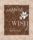 inspire wish believe