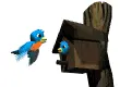 Animated