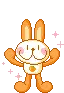 orange cutie