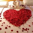 Bed of Roses