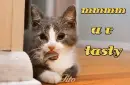 u r so tasty