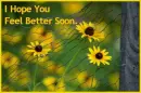 Get well soon flowers