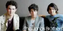 The Jonas Brothers
