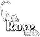 cats rose
