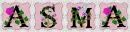 Asma Name Tag