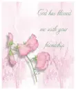 friendship