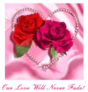Love never fade