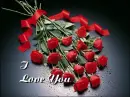 Red roses