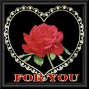 A rose for you