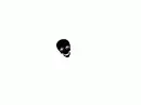 skull animated