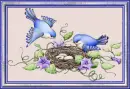 Blue Birds Nesting