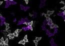 BUTTERFLY.