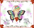Lady