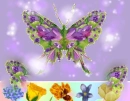 Batterfly