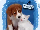 cute