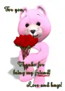 Pink Teddy w/ Red Rose