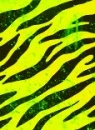 Neon Zebra.