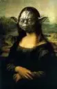 Mona yoda