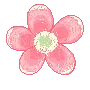 flover child