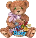 Riley Bear