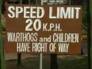 Crossing! 