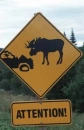Beware of Moose