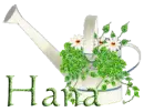 hana