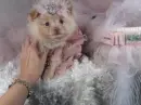 POM POM PRINCESS!!!!!!!!!