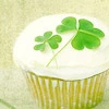 Shamrock Cupcke