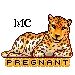 leopard animated blinkie pregnant