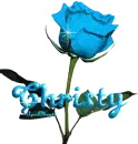 blue rose christy