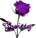 purple rose christy