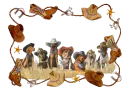 Howdy dogs
