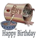 Happy Birthday Kitty
