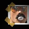 Joe J