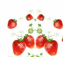 STRAWBERRYS