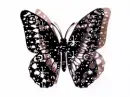 glitter butterfly