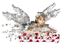 Silver Fairy - Ma.Daisy