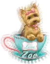 Cup of Love Yorkie - Zoe