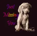 just missing you