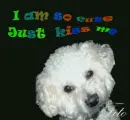 i am so cute