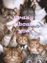 crazy about you